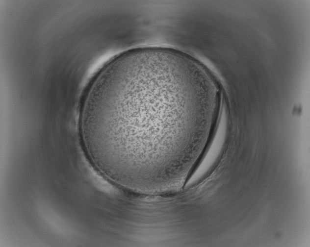 X0000090601416200707241033