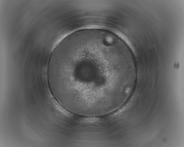 X0000090601417200707241033