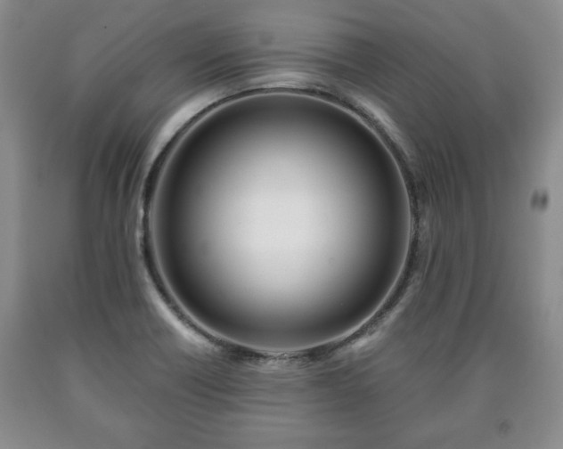 X0000090601418200707241033
