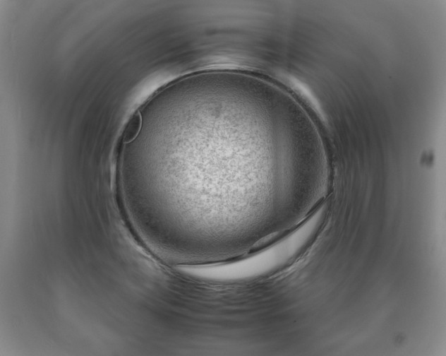 X0000090601419200707241033