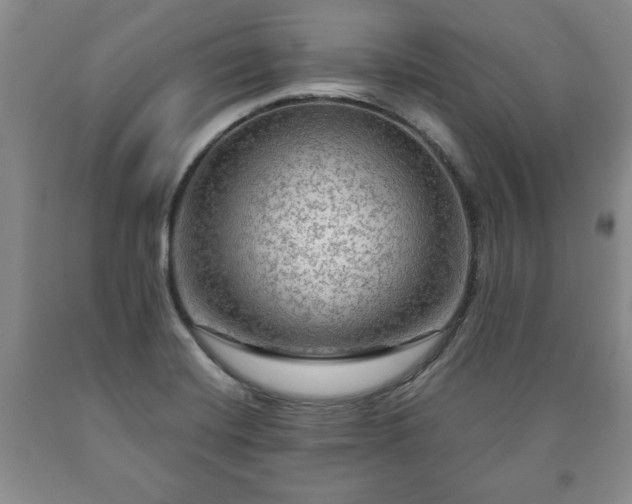 X0000090601420200707241033