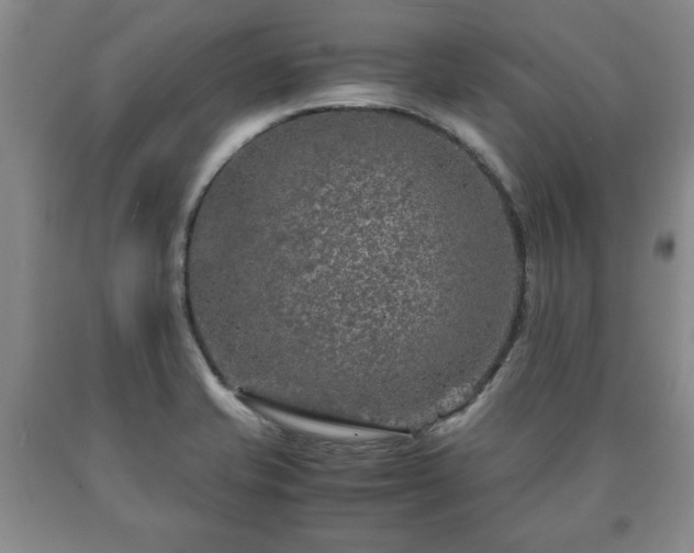 X0000090601421200707241033