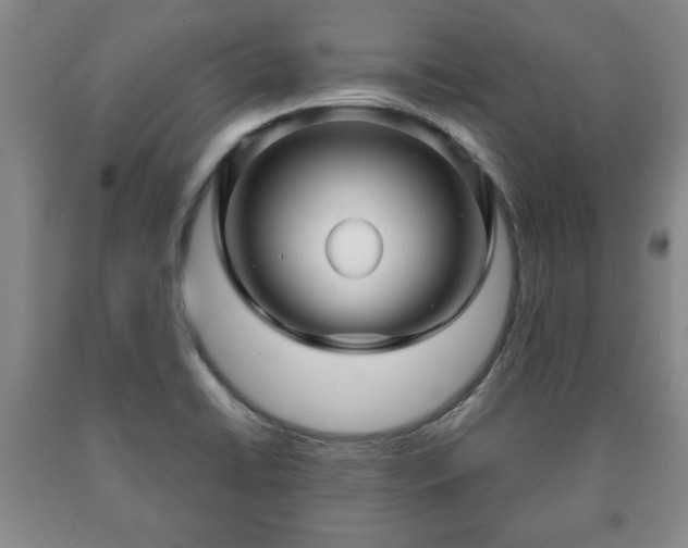 X0000090601422200707241033