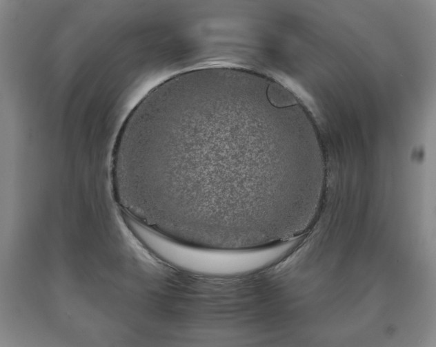 X0000090601423200707241033