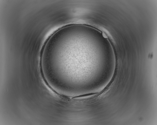 X0000090601424200707241033