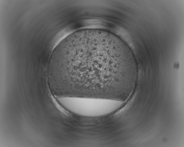 X0000090601425200707241033