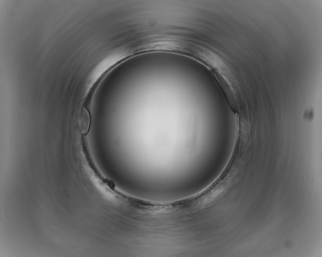 X0000090601426200707241033