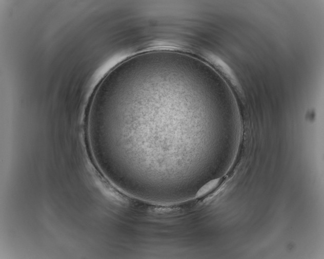 X0000090601427200707241033