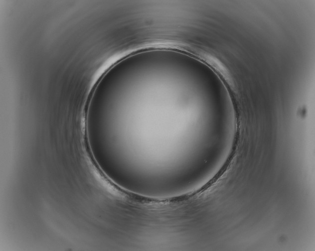 X0000090601428200707241033