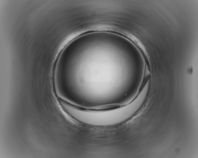 X0000090601429200707241033