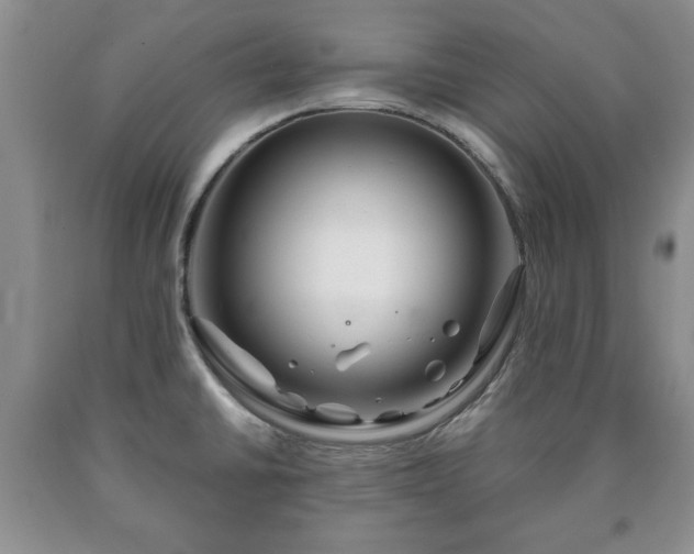 X0000090601430200707241033