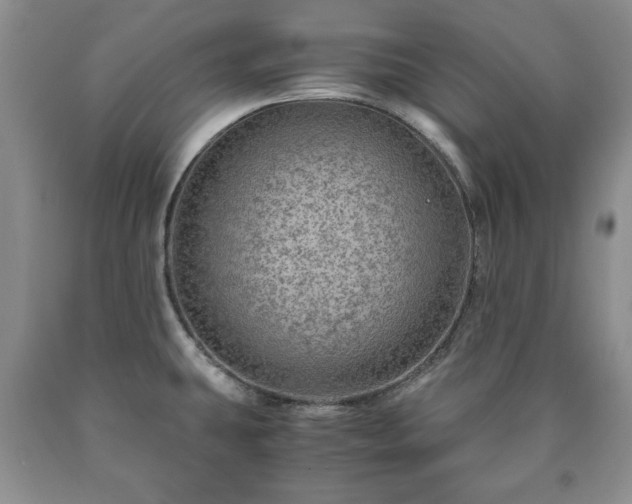 X0000090601431200707241033