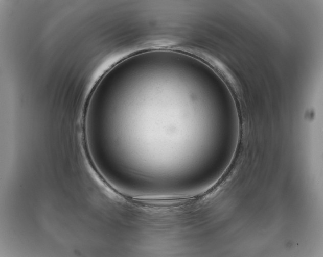 X0000090601432200707241033