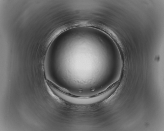 X0000090601433200707241033