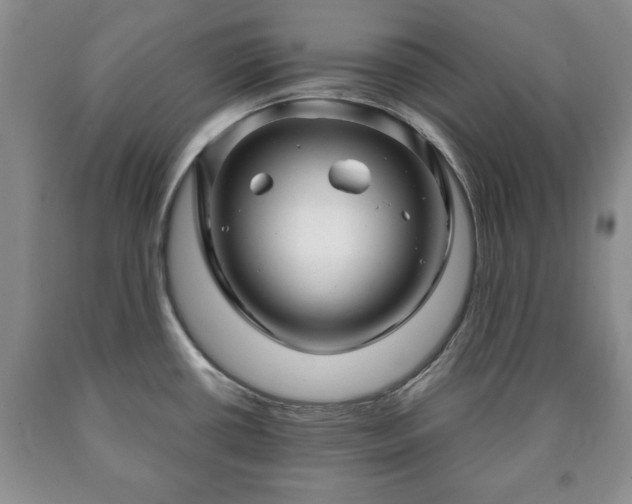 X0000090601434200707241033