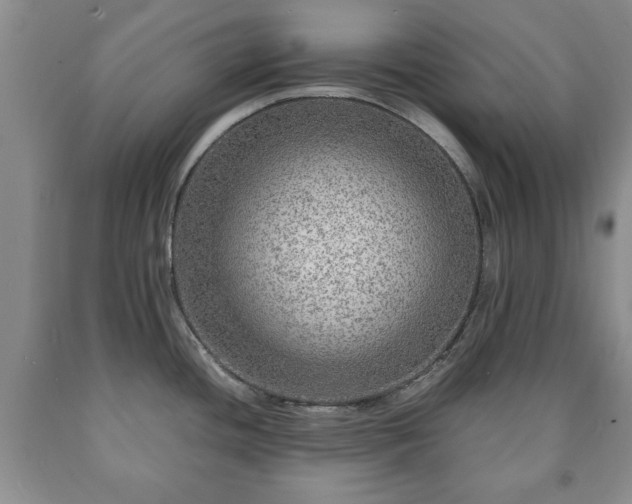 X0000090601436200707241033