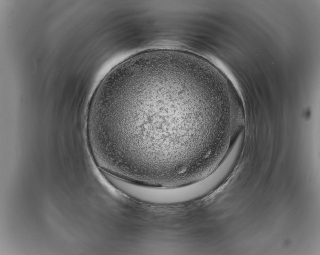 X0000090601437200707241033