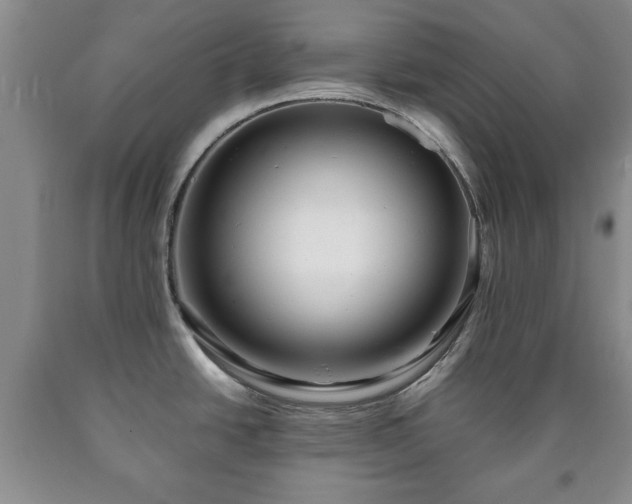 X0000090601438200707241033