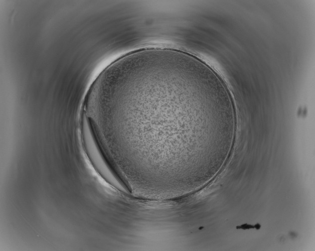 X0000090601440200707241033