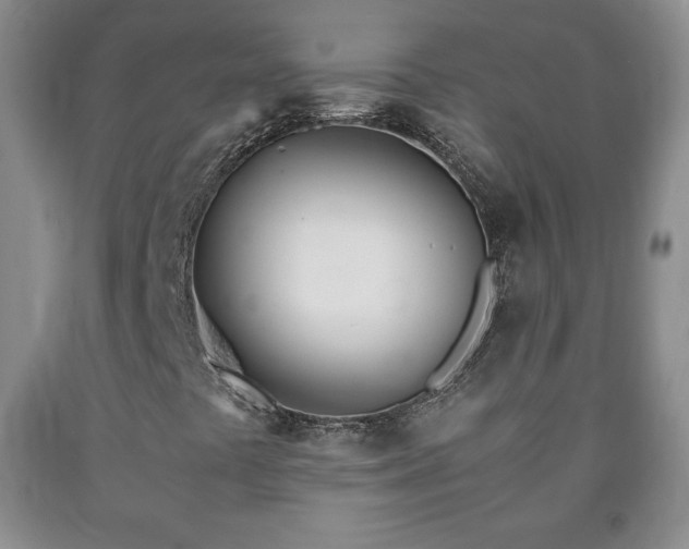X0000090601441200707241032