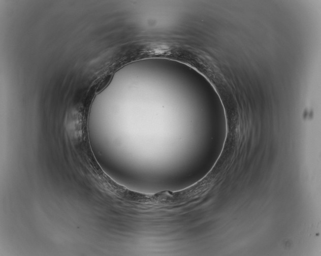 X0000090601442200707241032
