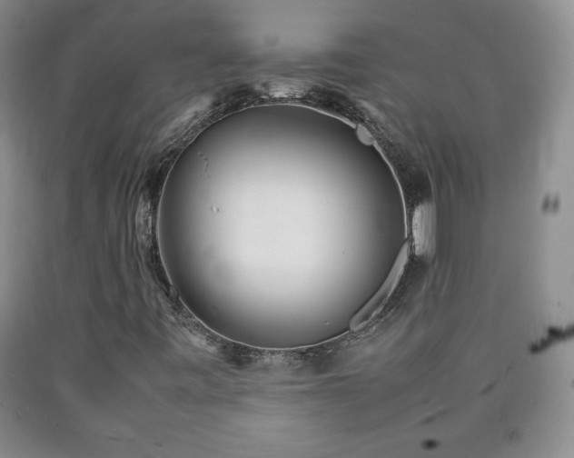 X0000090601443200707241032