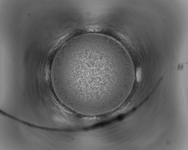 X0000090601444200707241032