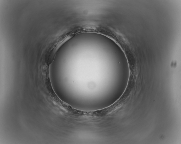 X0000090601445200707241032