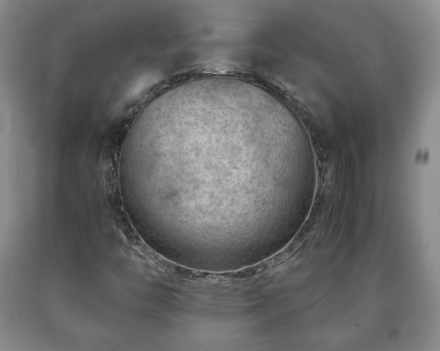 X0000090601446200707241032