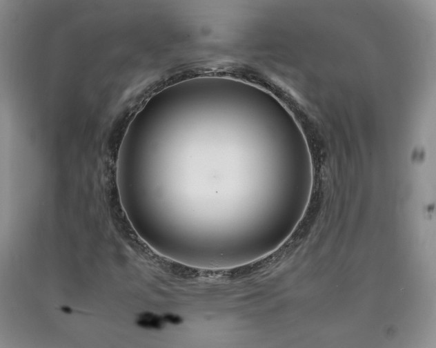 X0000090601447200707241032