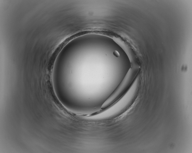 X0000090601449200707241032