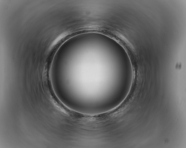 X0000090601450200707241032