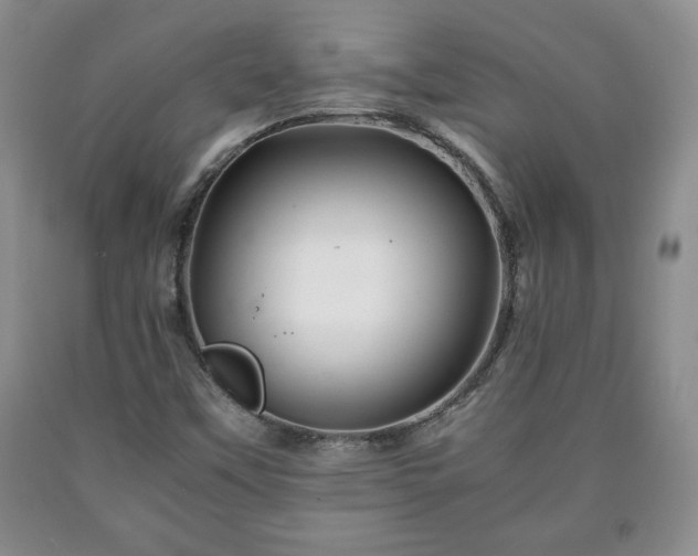 X0000090601451200707241032