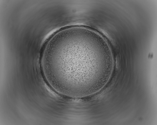 X0000090601452200707241032