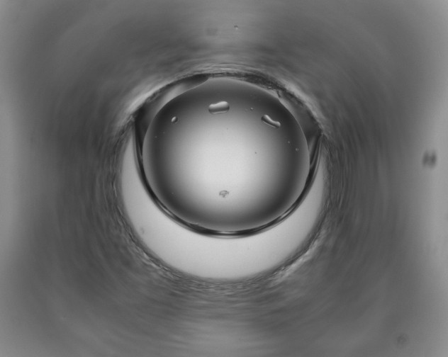 X0000090601453200707241032