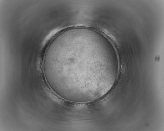 X0000090601454200707241032