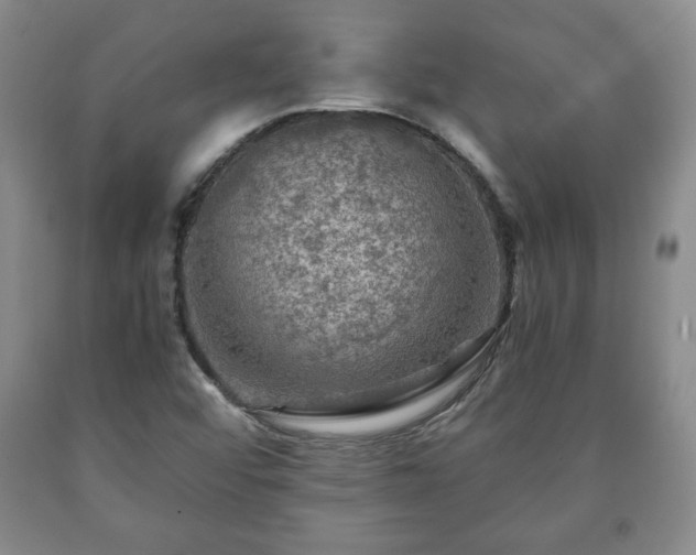 X0000090601456200707241032