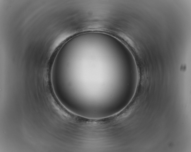 X0000090601458200707241032
