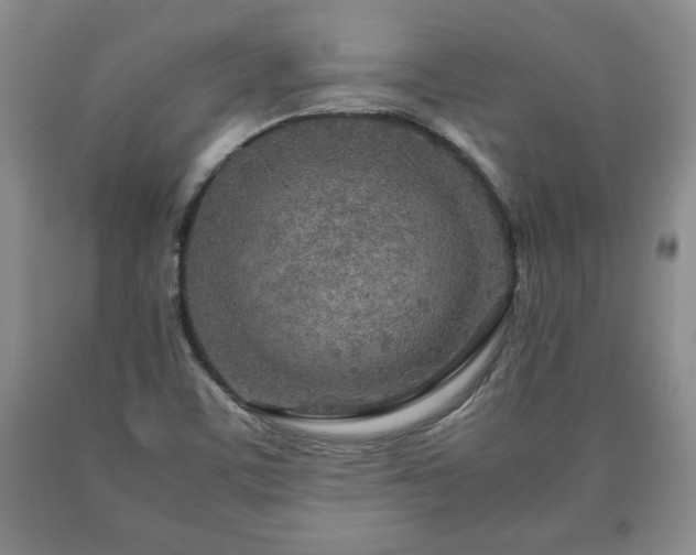 X0000090601459200707241032