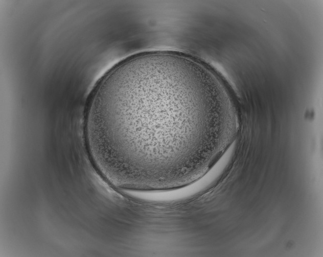 X0000090601460200707241032