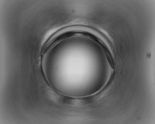 X0000090601461200707241032