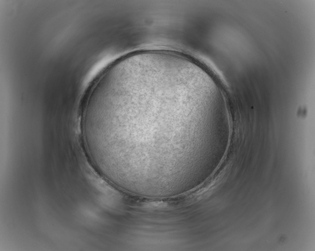 X0000090601462200707241032