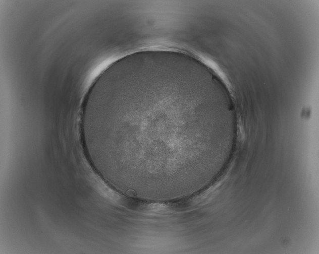 X0000090601463200707241032
