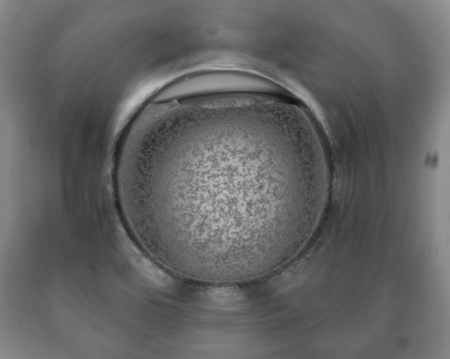 X0000090601464200707241032