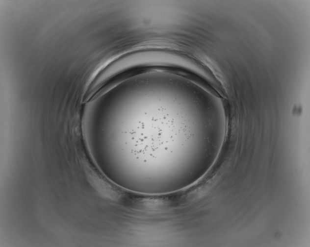 X0000090601465200707241032
