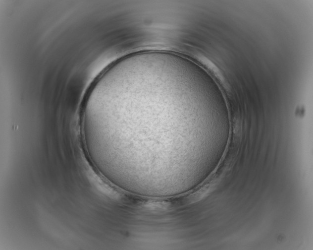 X0000090601466200707241032