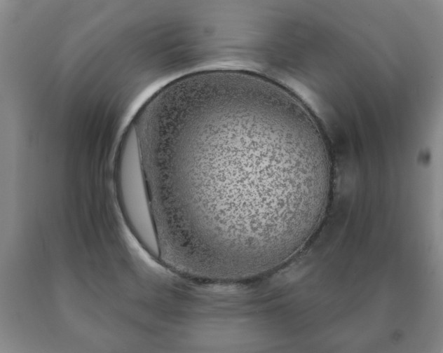 X0000090601468200707241032