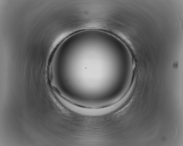 X0000090601469200707241032
