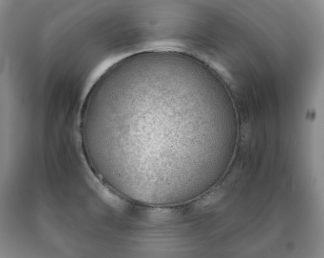 X0000090601470200707241032