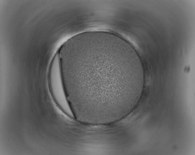 X0000090601471200707241032